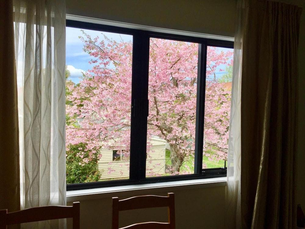 Royal Park Lodge Όκλαντ Εξωτερικό φωτογραφία